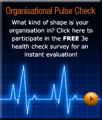 3e Organisational Pulse Check